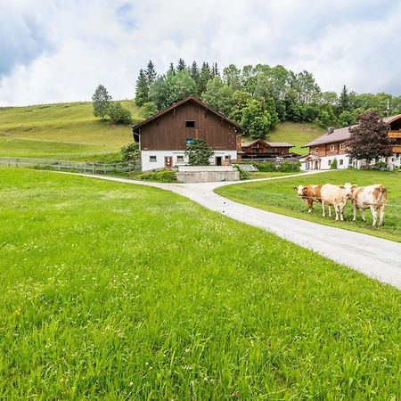 Ferienhaus Mittersill Am Biohof Widholz Exterior photo