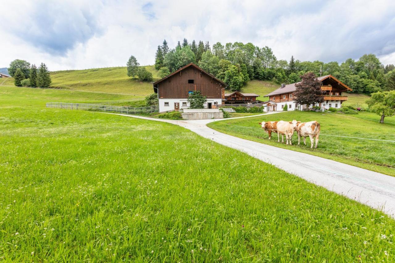Ferienhaus Mittersill Am Biohof Widholz Exterior photo